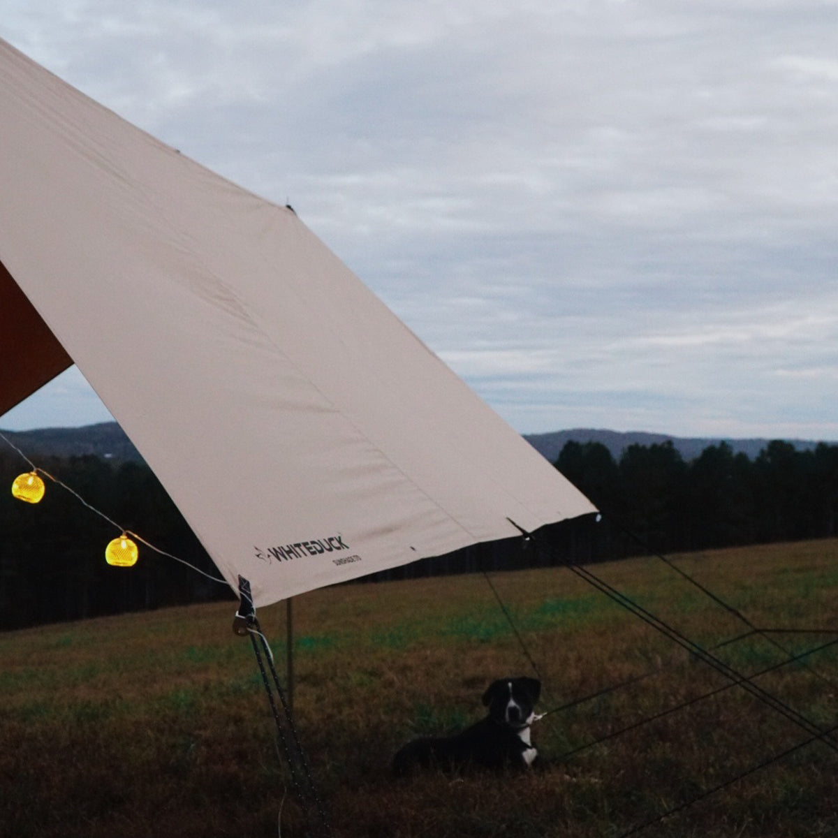 Sunshade Tarp 170
